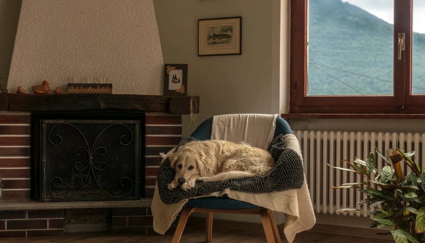 Un petit chien endormi dans un fauteuil près de la cheminée, le soir