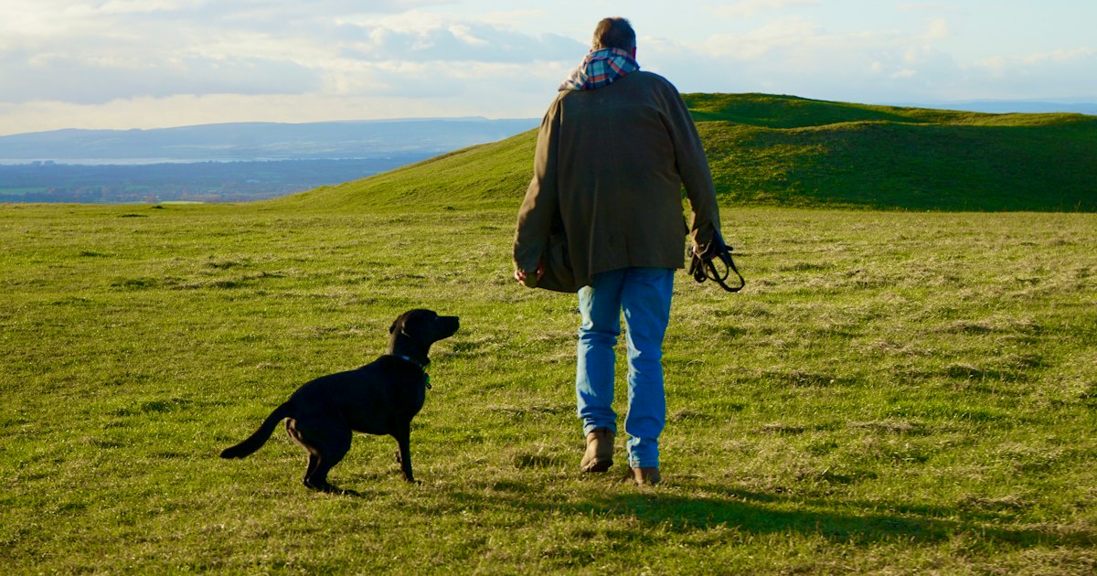 Man standing beside black Labrador on green grass field