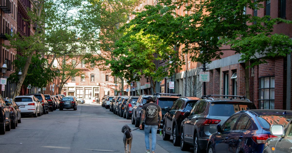 Man walking dog on leash down street with parked cars